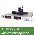 Digital wireless intercom system